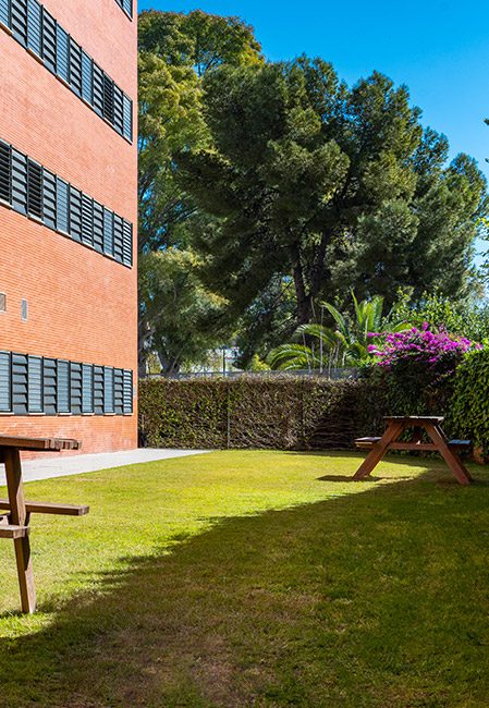Jardín residencia universitaria en Rector Estanislao del Campo, Sevilla